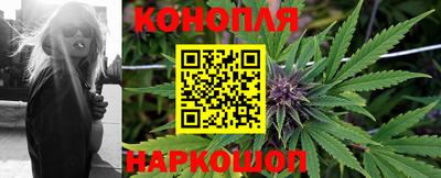 прущие грибы Кимры